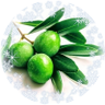 Фото профиля あさ香🌱.∗º*🍓