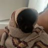 kassimira profil fotoğrafı