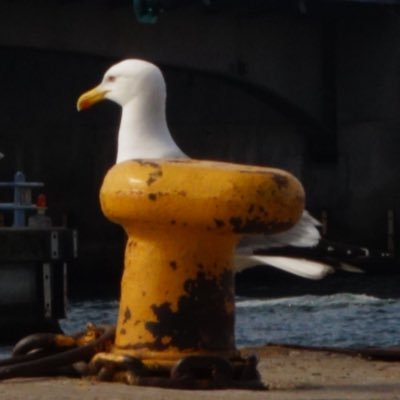 EvanMilenko's profile picture