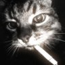 nepe.32's profile picture