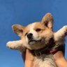 Lish's profile picture