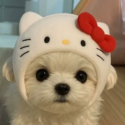 jny. ⚡️🍦's profile picture