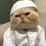 ūťɗ.Ɲåŧưřę🐉's profile picture