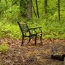 Mr. Forest Chair 的头像