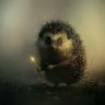 ПатриотПохмелья.'s profile picture