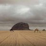 عبدالرحمن 的头像