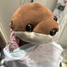 切り裂きしゅんすけ profil fotoğrafı