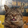 Фото профиля ジャムご飯