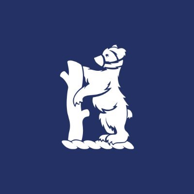 Bears's profile picture