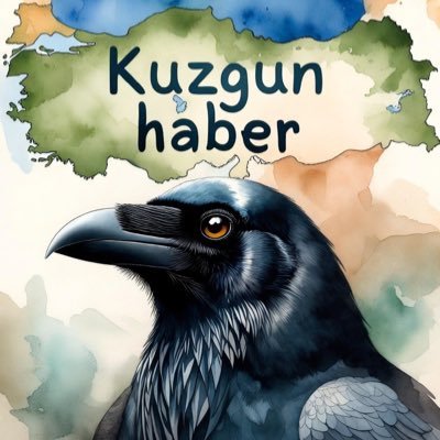 Kuzgun Türk's profile picture