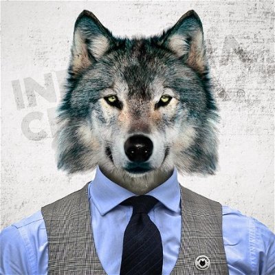 Nuno Guerra's profile picture