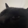 tyuruhasi profil fotoğrafı
