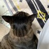 aki profil fotoğrafı