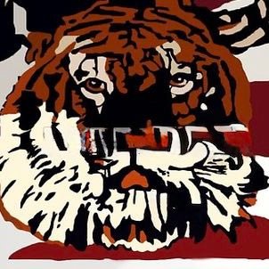McKeesport Tigers Football's profile picture