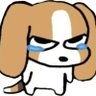 疯狂爱丽丝•_• 的头像