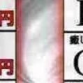 doggasa_pr's profile picture