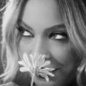 biene's profile picture