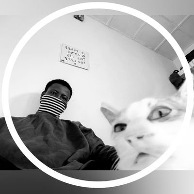 🗿's profile picture