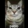 Profilbild von Pablo Nugget