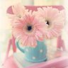 Profilbild von Serendipity/ خوش بیاری