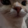 ً ︎︎︎ ︎︎︎︎ ︎︎︎ ︎︎︎︎ ︎︎︎ profil fotoğrafı