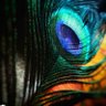 MD RAJU AHMED 🟡🟣🟢 profil fotoğrafı