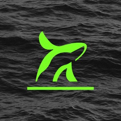 TheBreachMedia's profile picture