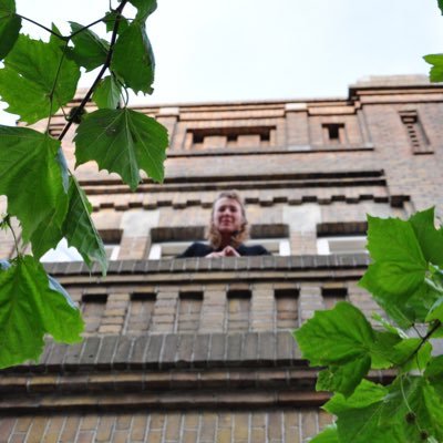 ira's profile picture