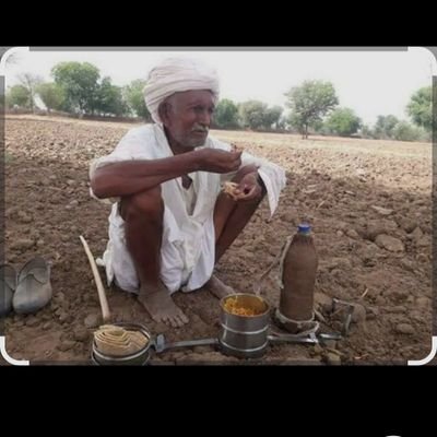 SinghYadav82835's profile picture