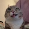 ZAV's profile picture