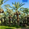 Фото профиля منتظر المحمداوي