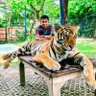 Profilbild von Daitayan Banerjee