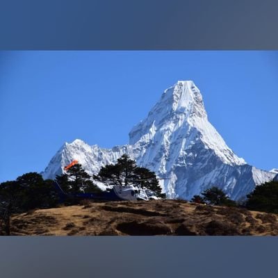 yigihgyi's profile picture