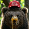 Kevin Marx's profile picture
