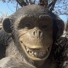 Profilbild von greg