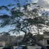 abo wassem profil fotoğrafı