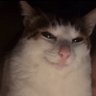 The Vigilante's profile picture