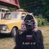 Фото профиля 𝕲𝖊𝖗𝖆𝖗𝖉 𝕽𝖆𝖋𝖙𝖆𝖐 🇷🇺✭☭₿