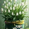 العميد المحمداوي 的头像
