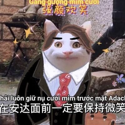 cherimahou's profile picture