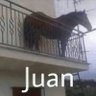 Juan Shedletsky 的头像