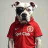 Dog Colorado's profile picture