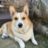 Xyx profil fotoğrafı