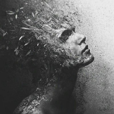 سلطان's profile picture