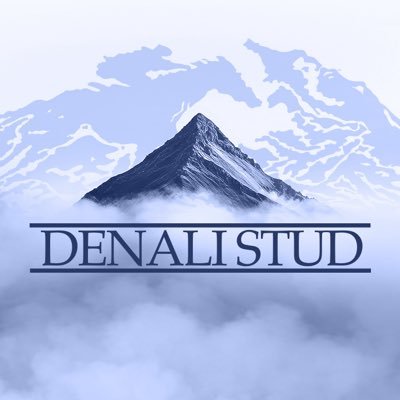 DenaliStud's profile picture
