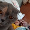 Фото профиля bülent sezgin