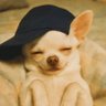 ReGalo de Dios's profile picture