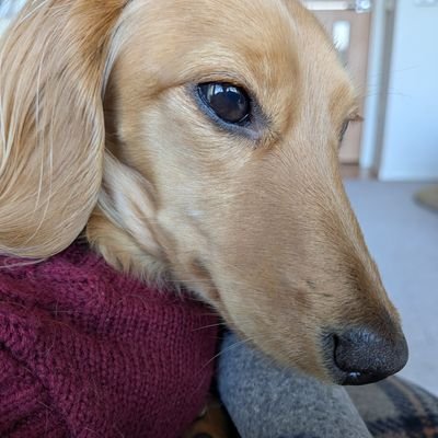 EdithTak13's profile picture
