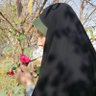 نگین سجادی profil fotoğrafı