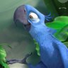 Cinephile_Parrot profil fotoğrafı